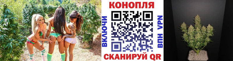 МАРИХУАНА VHQ  KRAKEN маркетплейс  Суворов 